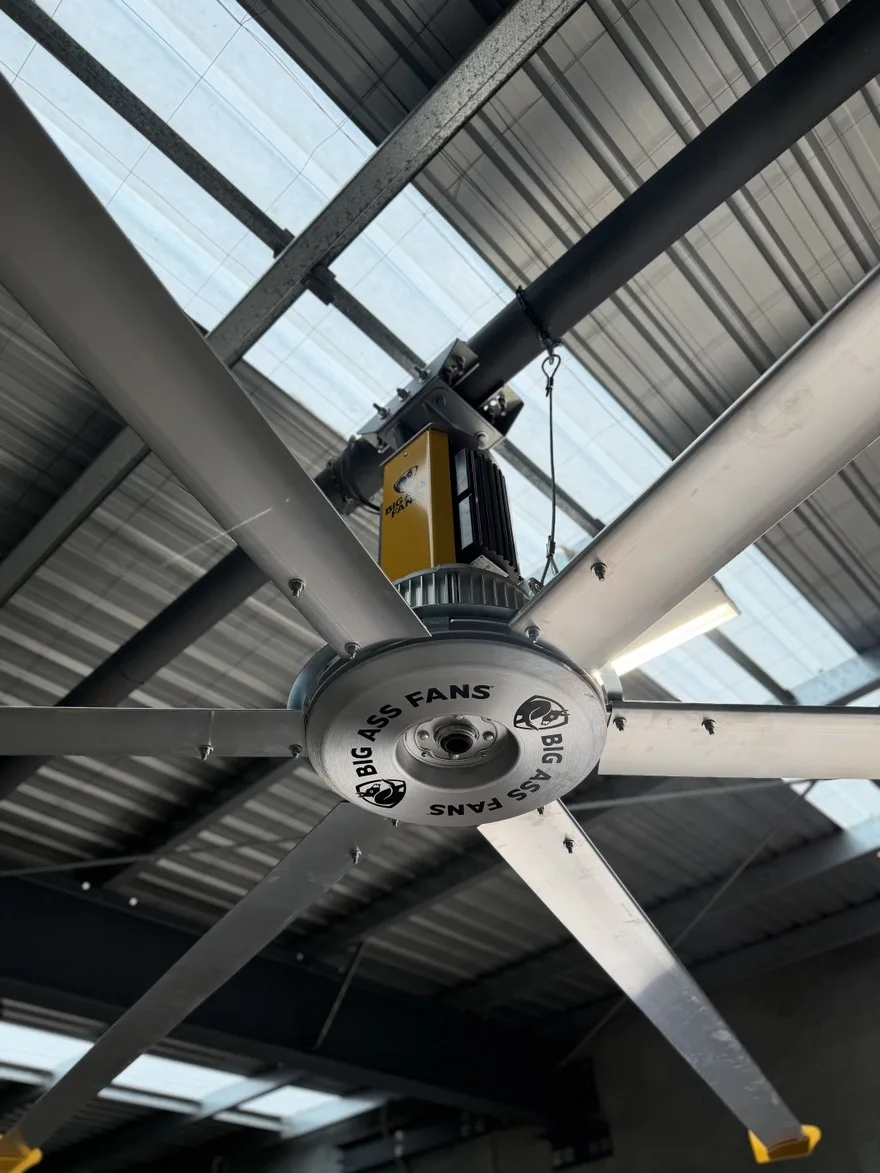 Large-format commercial ceiling fan under a metal roof